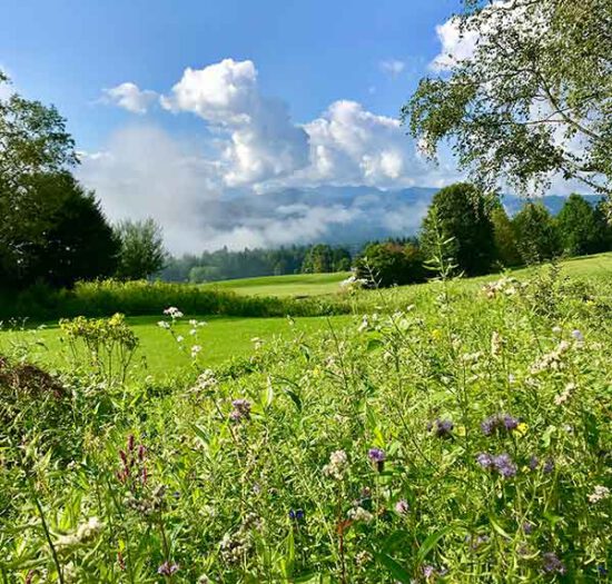 Schöne Aussichten in der Alpenloge