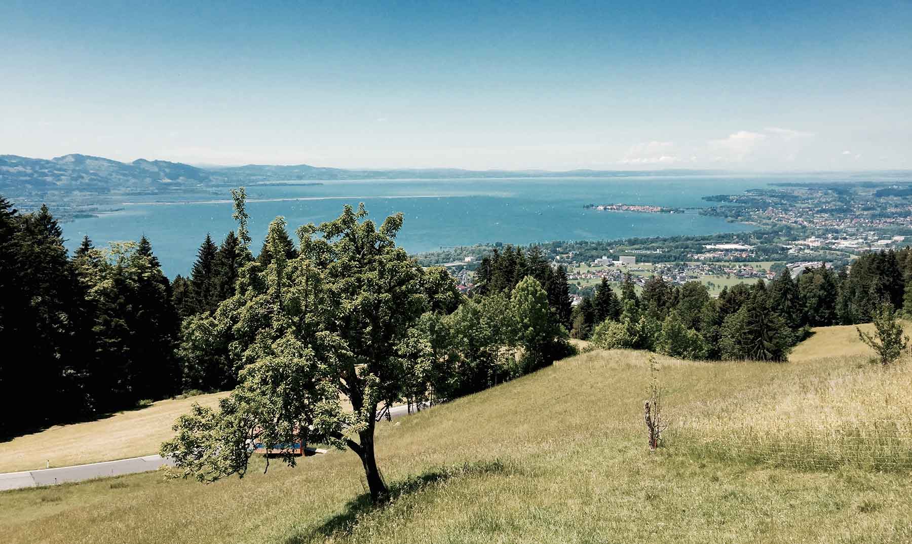View from an Alpine meadow across forests down to Lake Constance and Lindau