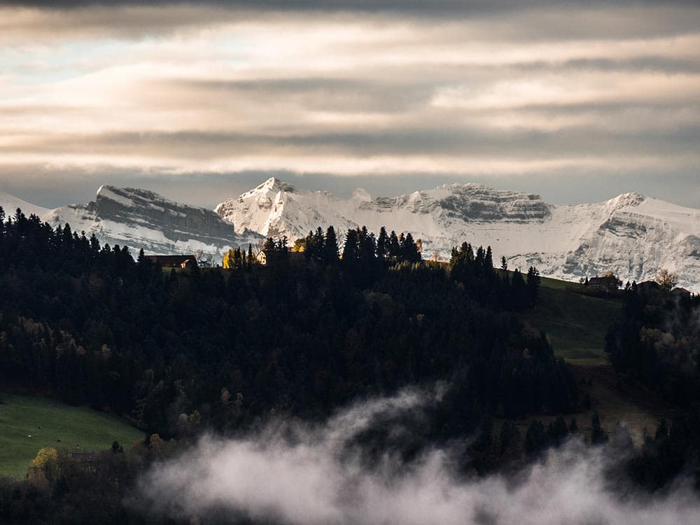 Die Alpenkette im warmen Abendlicht, davor ein bewaldeter Hügel mit einzelnem Hof