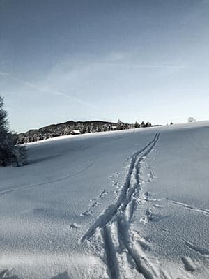 Frisch gezogene Loipenspur, die über ein Schneefeld auf den Waldrand zuläuft