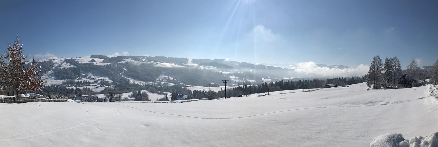 Weites Panorama über die verschneiten Hügel des Westallgäus bei klarem Himmel
