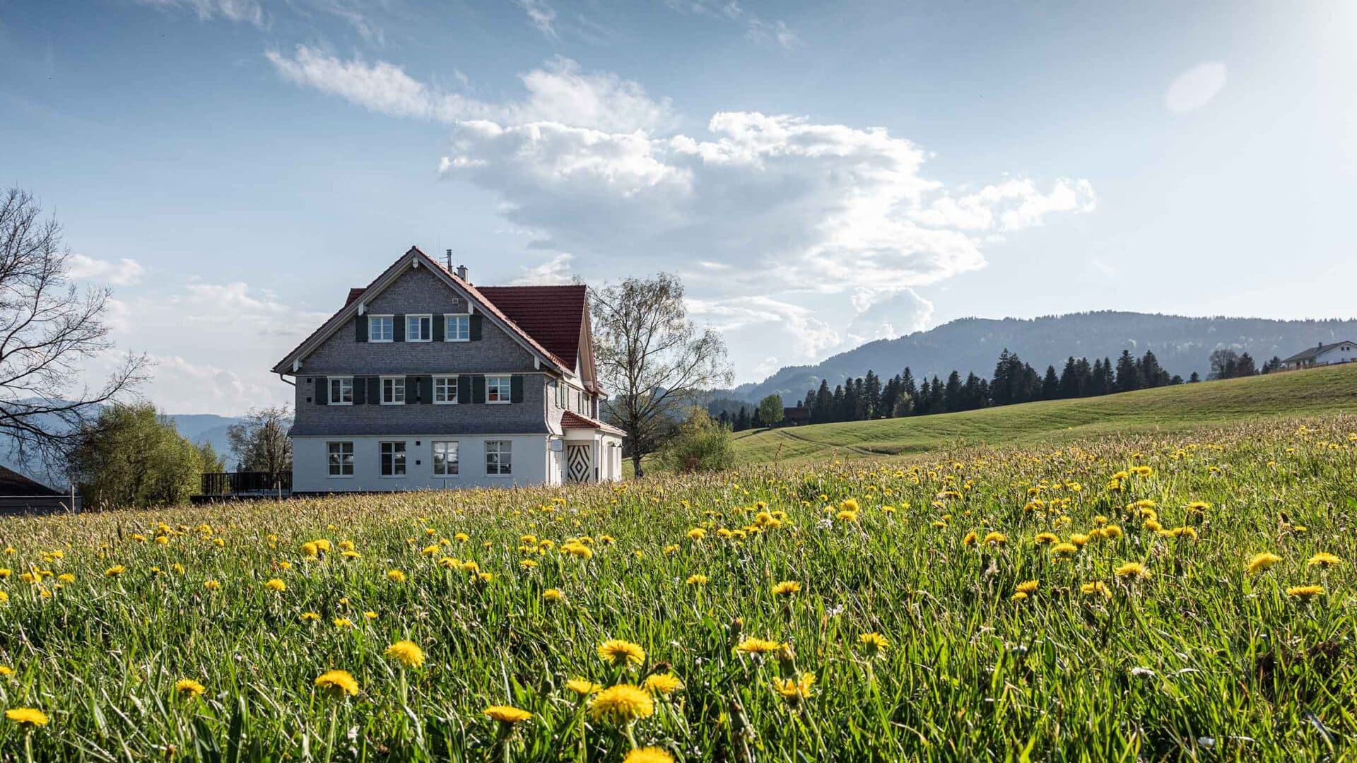 Die Alpenloge, ein ehemaliges Schulhaus, in der blühenden Löwenzahnwiese vor den Allgäuer Hügeln