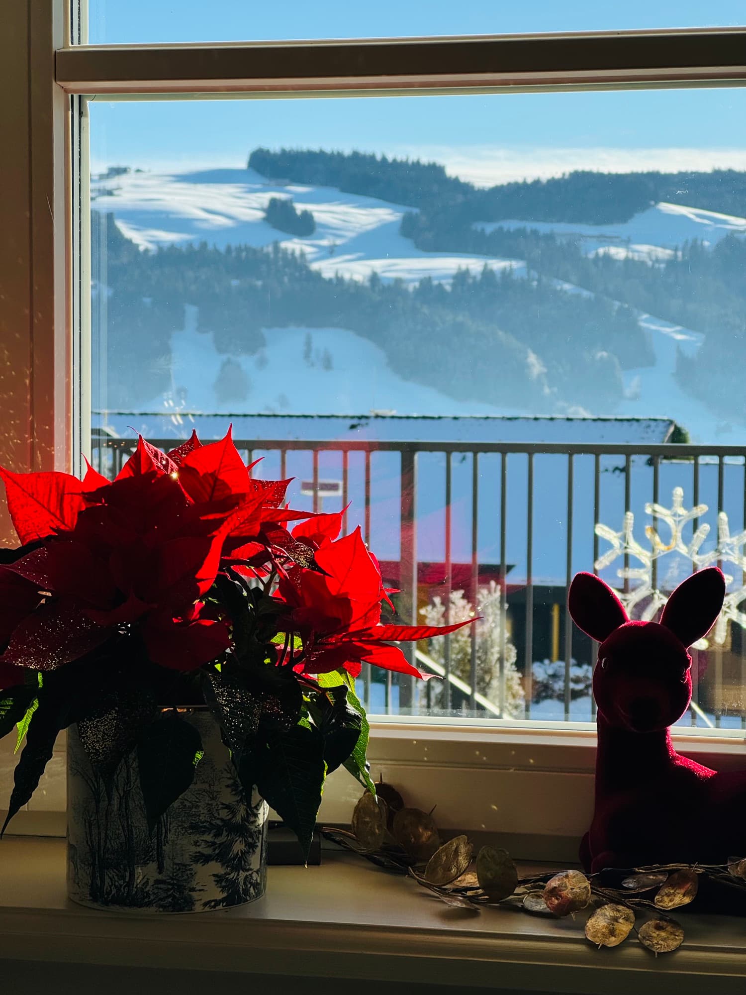 Roter Weihnachtsstern auf der Fensterbank, dahinter durch das Fenster die verschneiten Hügel und Wälder des Westallgäus, rechts ein Reh aus rotem Filz