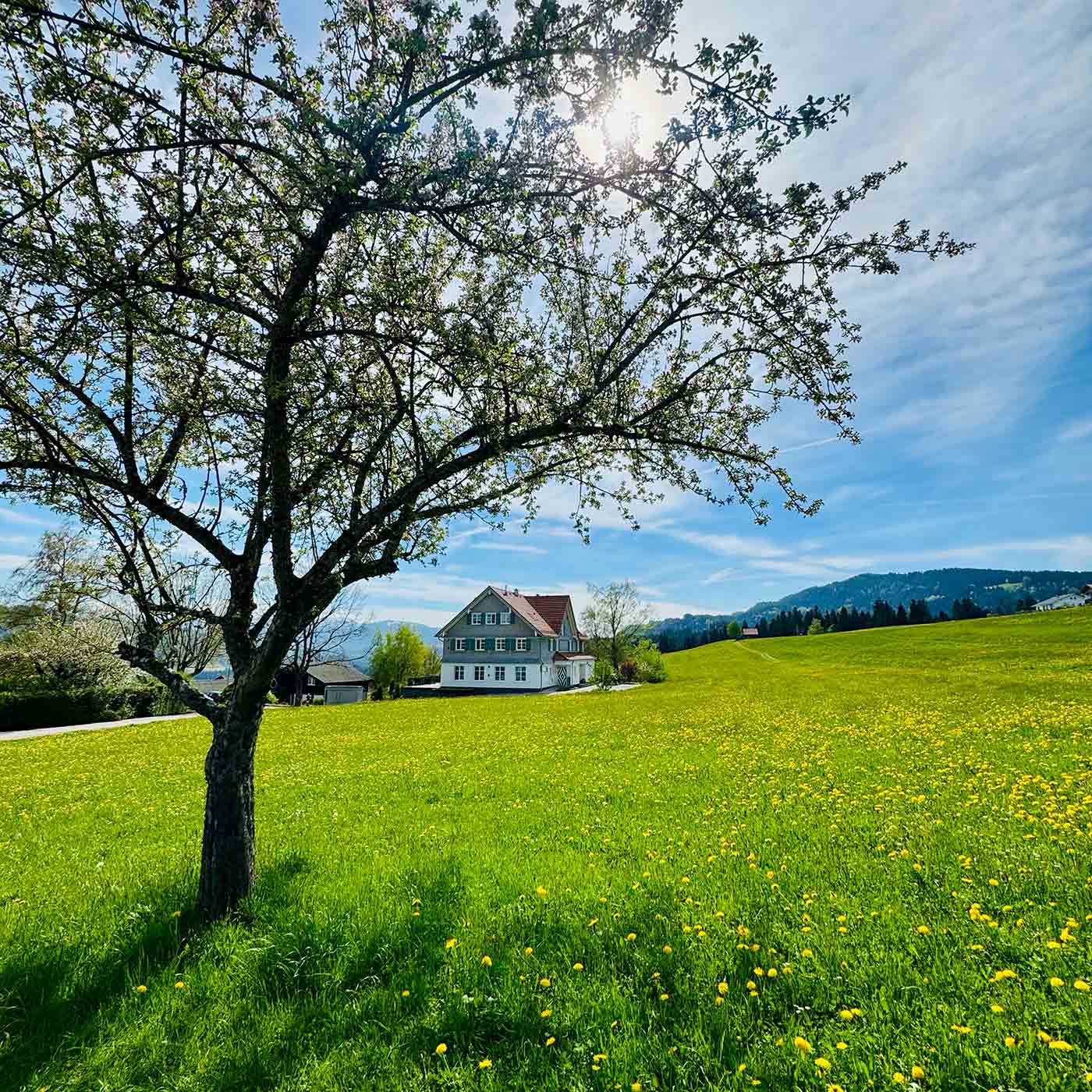 AD zeigt Ihnen die 18 schönsten Wellness-Hotels, die sich ideal für einen Kurzurlaub eignen